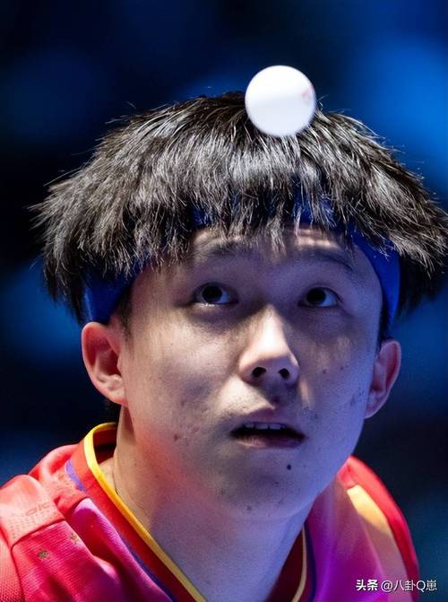 王楚钦:我们还是那个乒乓球队