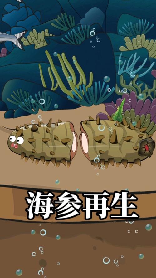 用ai怎么画海参模型