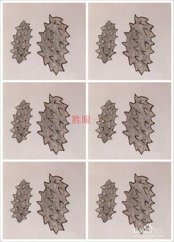 用ai怎么画海参模型