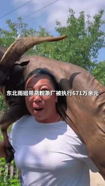 东北雨姐带货粉条厂被执行671万