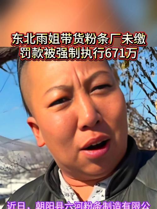东北雨姐带货粉条厂被执行671万