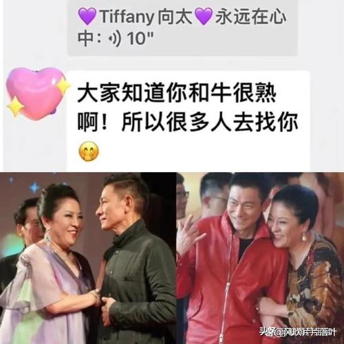 向太称曾借刘德华4000万 还没打欠条