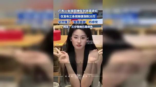 女孩神似刘亦菲 三条视频涨粉20万