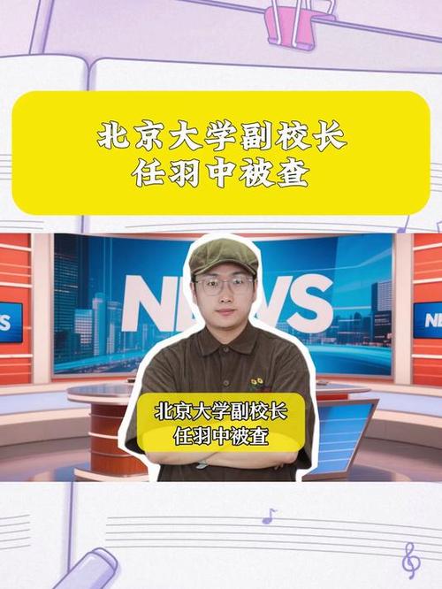 北京大学副校长任羽中被查