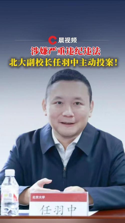 副校长任羽中被查 北京大学表态