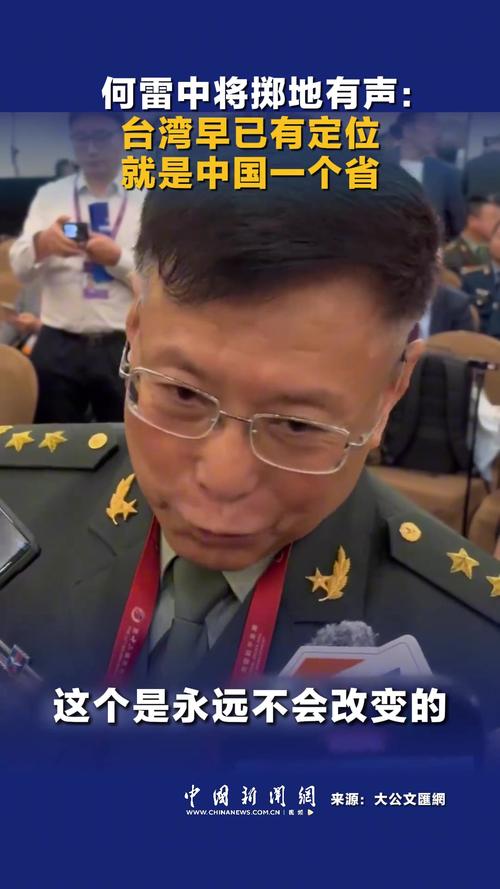 何雷：大陆不希望有攻台武器装备