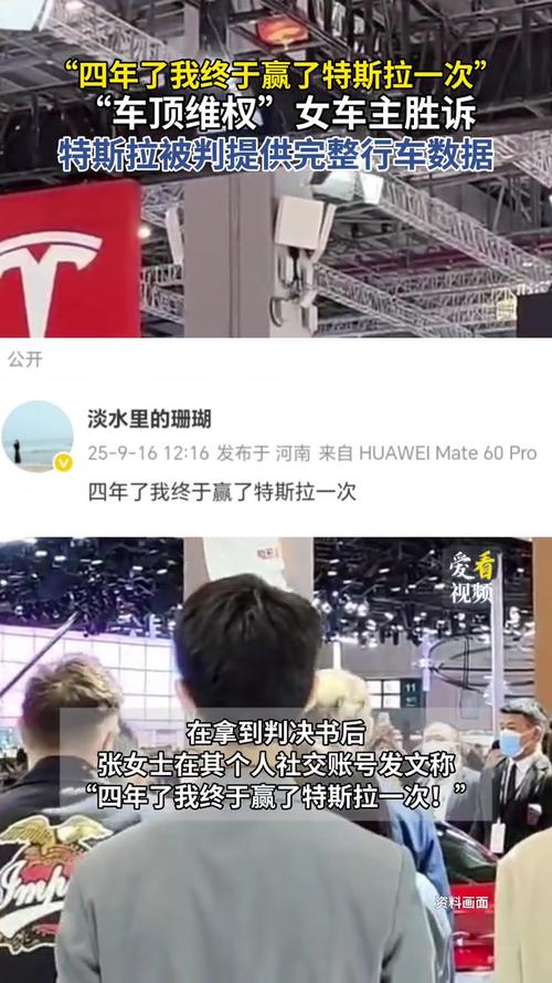 特斯拉“车顶维权”车主数据案胜诉