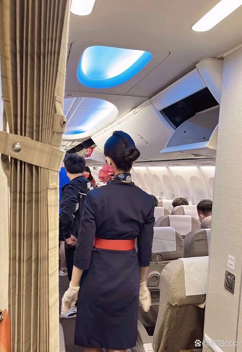 马来西亚空姐飞行途中跳舞引争议