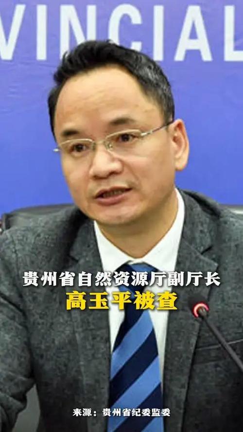 履新未满一年 高玉平任上被查
