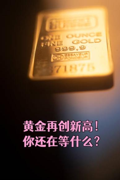 金价飙升 有非法淘金人井下生活两年