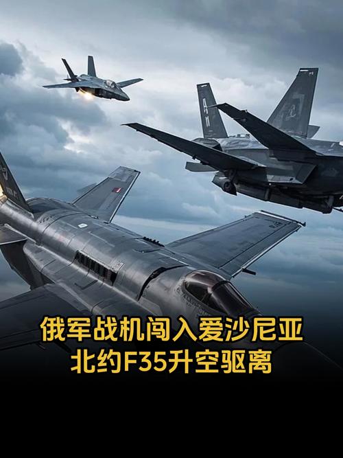北约称拦截进入爱沙尼亚领空俄军机