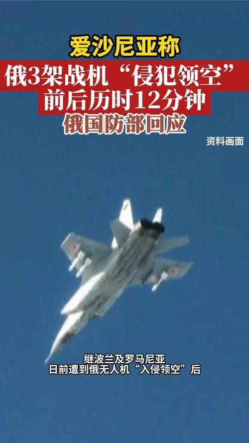 北约称拦截进入爱沙尼亚领空俄军机