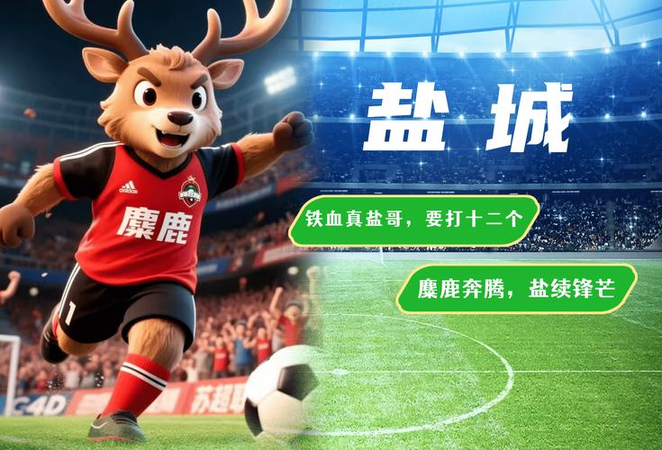 苏超盐城1比3连云港
