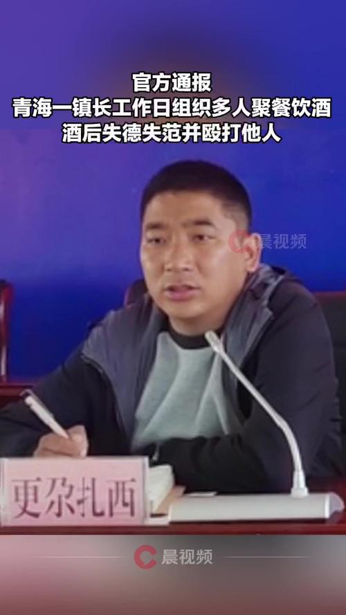 镇长组织聚餐酒后打人被撤职降级