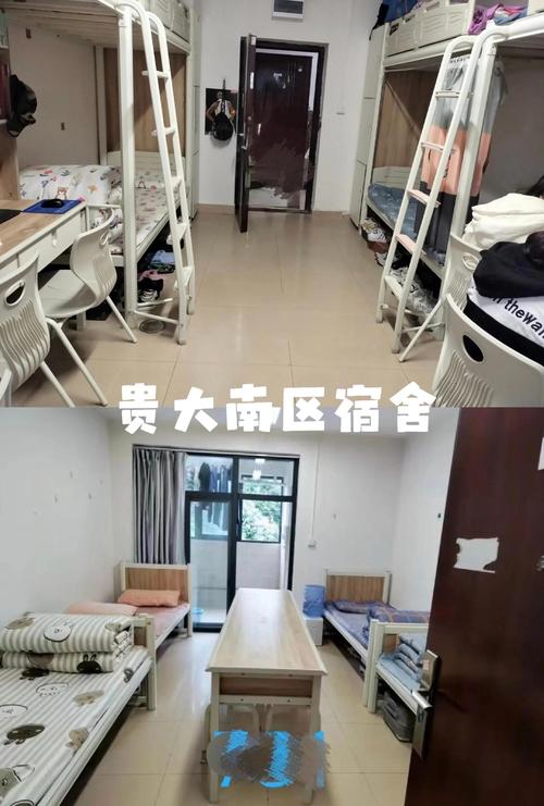 猴子下山“造访”贵州大学一宿舍