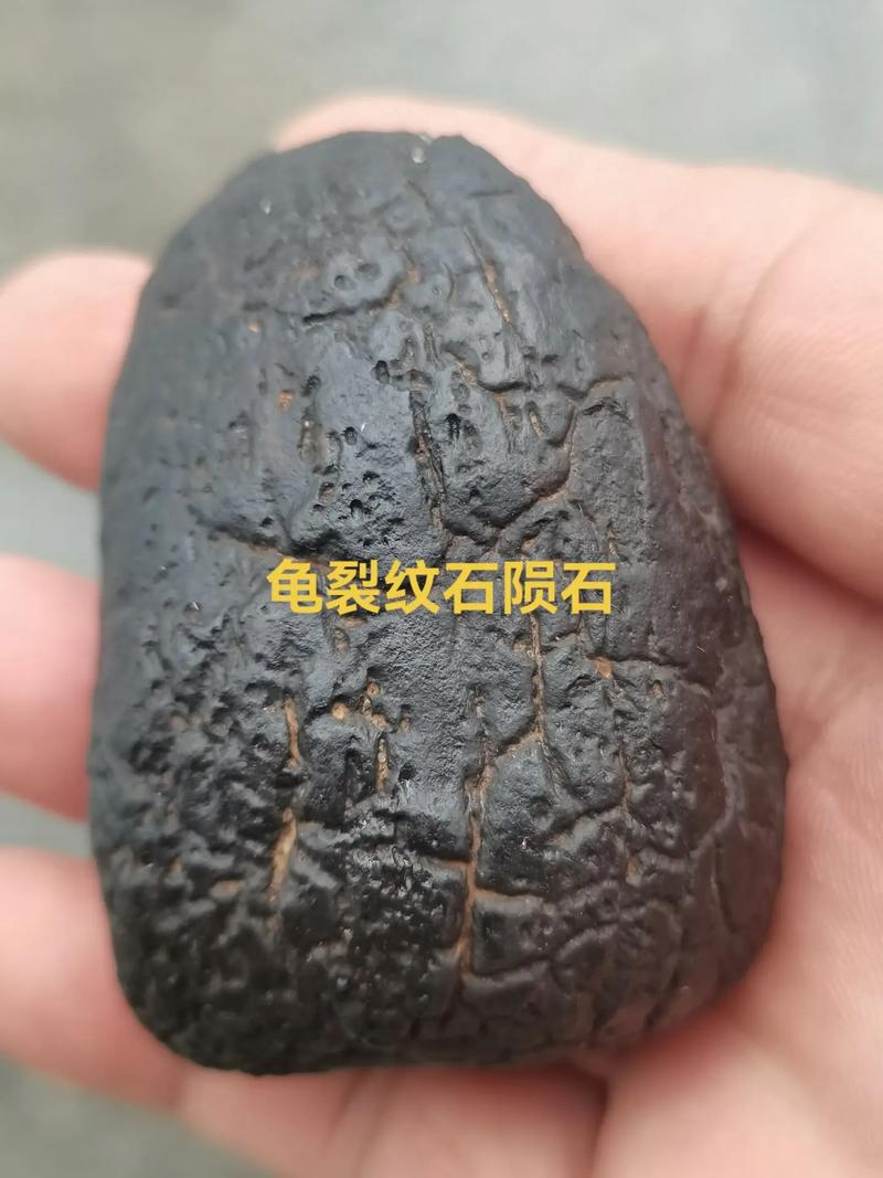陨石猎人算出“火流星”落地点