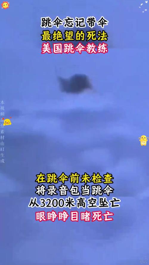 两名波兰士兵在美国跳伞训练时身亡