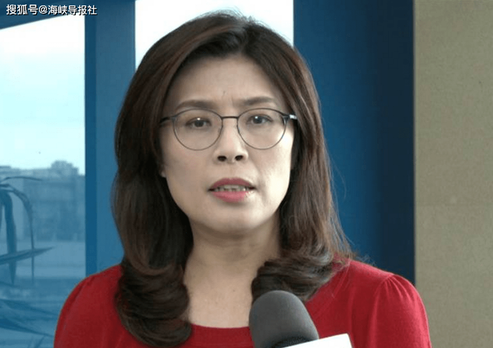 台媒征芬兰站记者被质疑讨好林昶佐