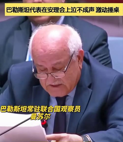 巴外长呼吁更多国家承认巴勒斯坦国