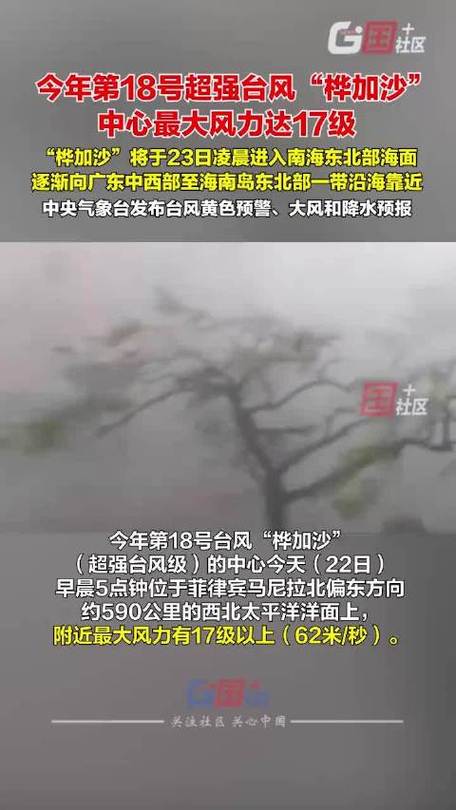 今年最强台风来袭