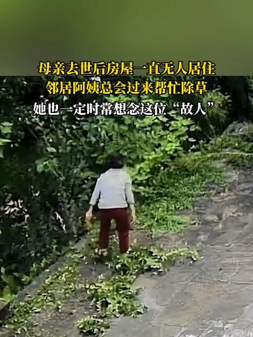 老奶奶去世3年 邻居帮打扫门前落叶