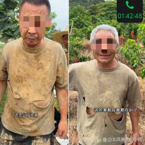 台风来袭 男子连夜帮农户抢收稻子