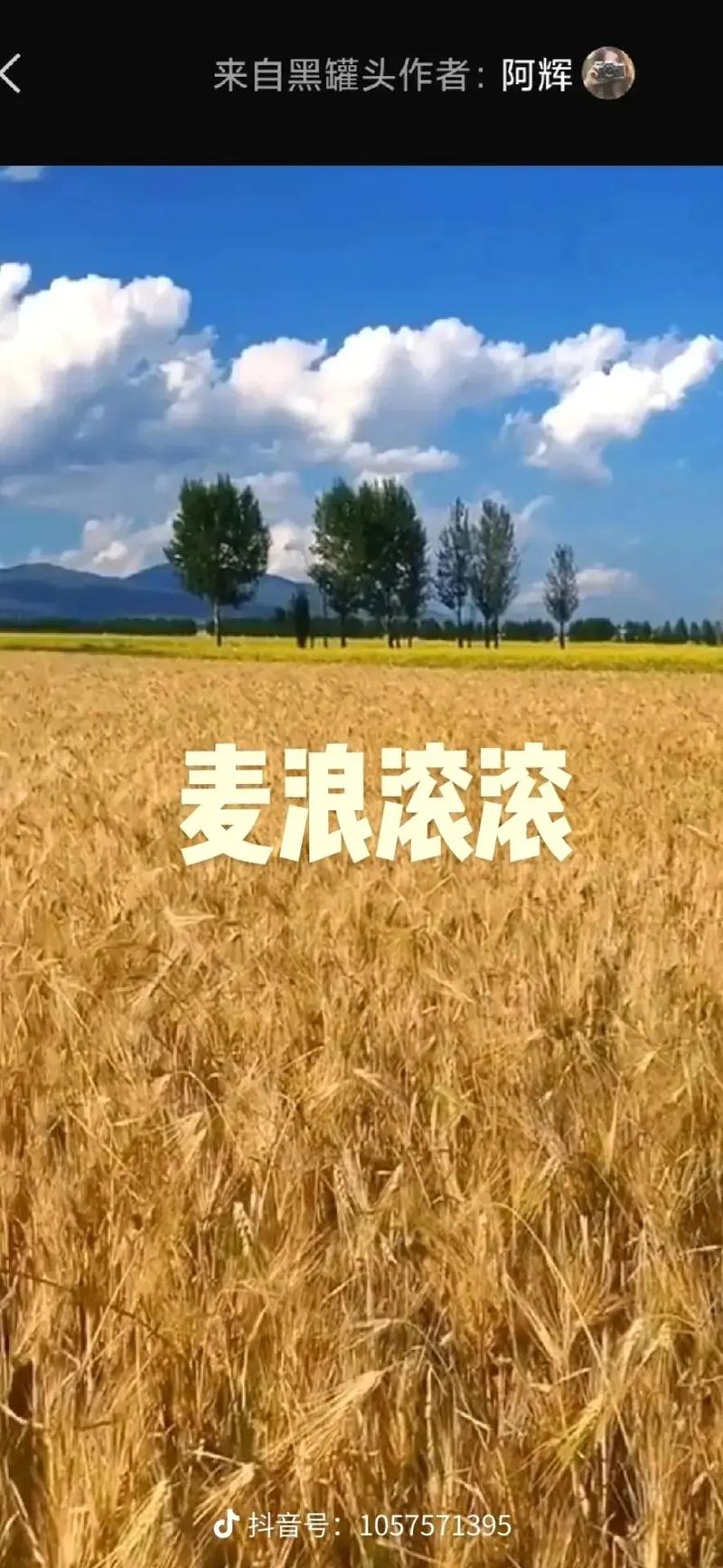 唱着民歌迎丰收