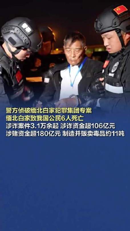 缅北白家犯罪集团主案一审开庭