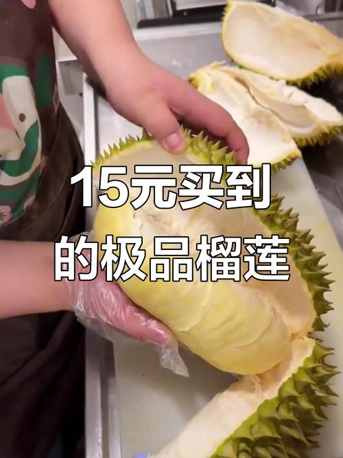 榴莲降至15元一斤