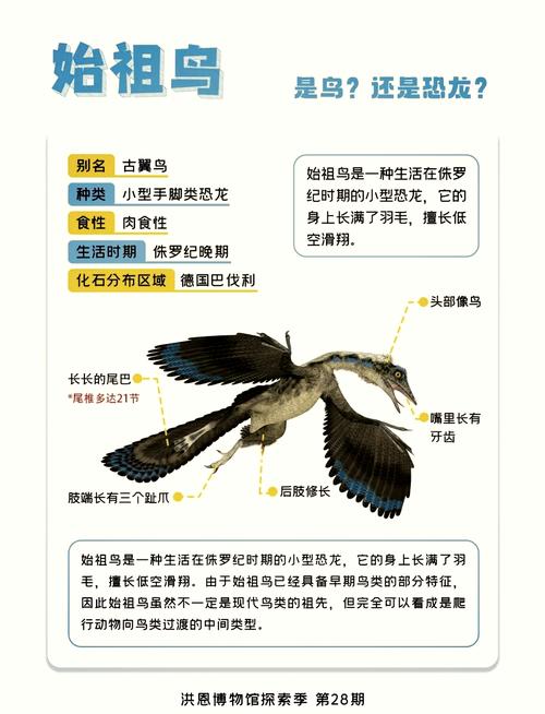 始祖鸟还能讲好户外故事吗