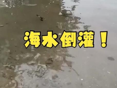 台风逼近香港 疑海水倒灌现3米喷泉