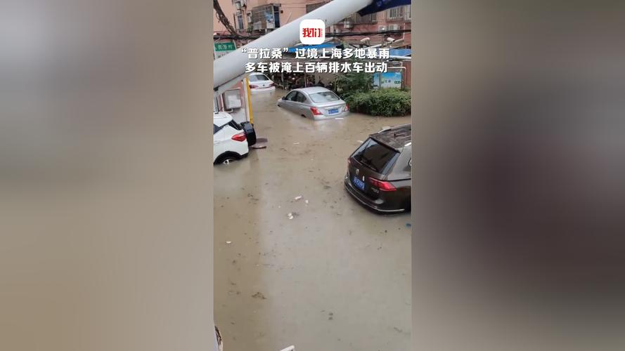 为避台风 小区近百辆车停上大桥