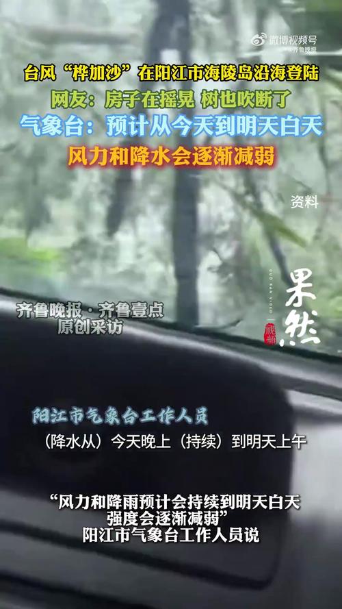 桦加沙狂袭阳江 湖面翻腾树木狂舞