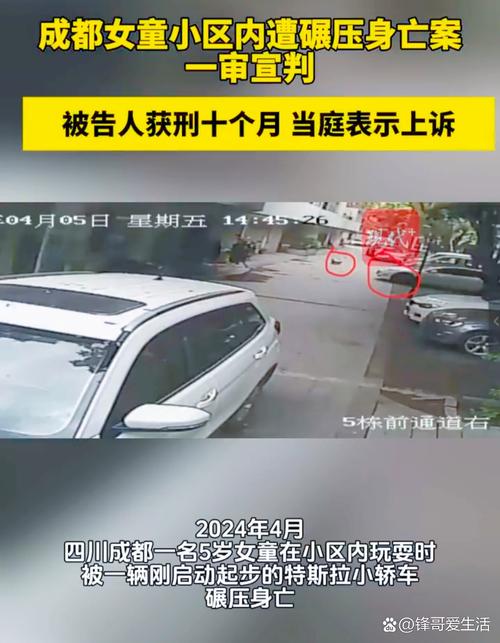 成都特斯拉碾压幼童案二审维持原判