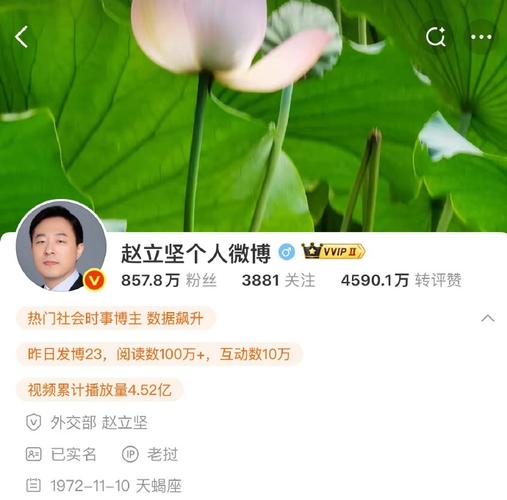 赵立坚点赞湖北文旅花式整活