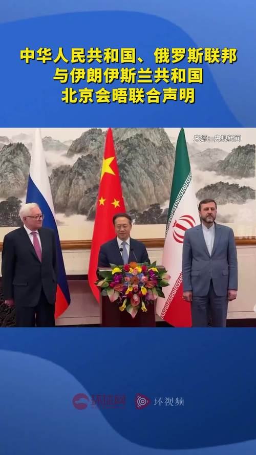 中俄巴伊四国发表《联合声明》