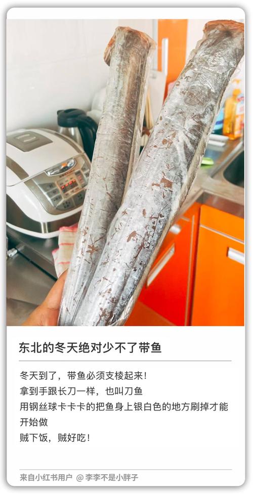 “国民廉价鱼”带鱼原来一直被低估