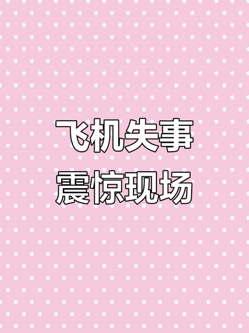 网红直播时坠机身亡：飞机突然失控