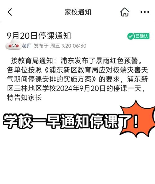 三亚通知：全市停课
