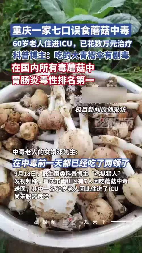 女子称婆婆吃邻居送的蘑菇中毒去世