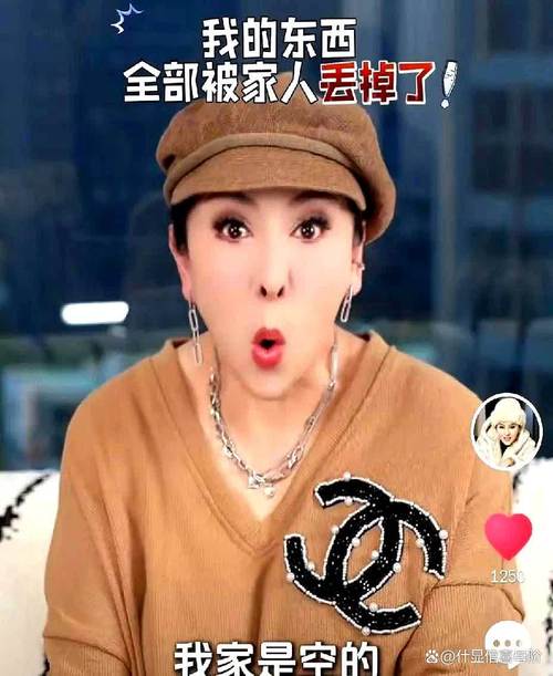 向太回应“向家破产”传闻