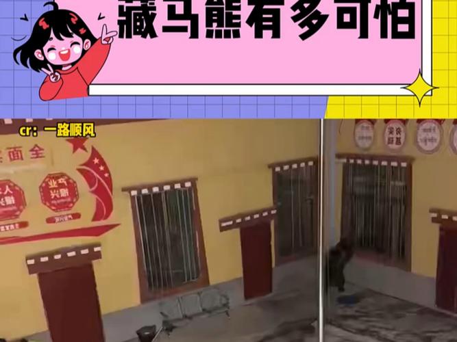 一大一小藏马熊闯入村庄民宅