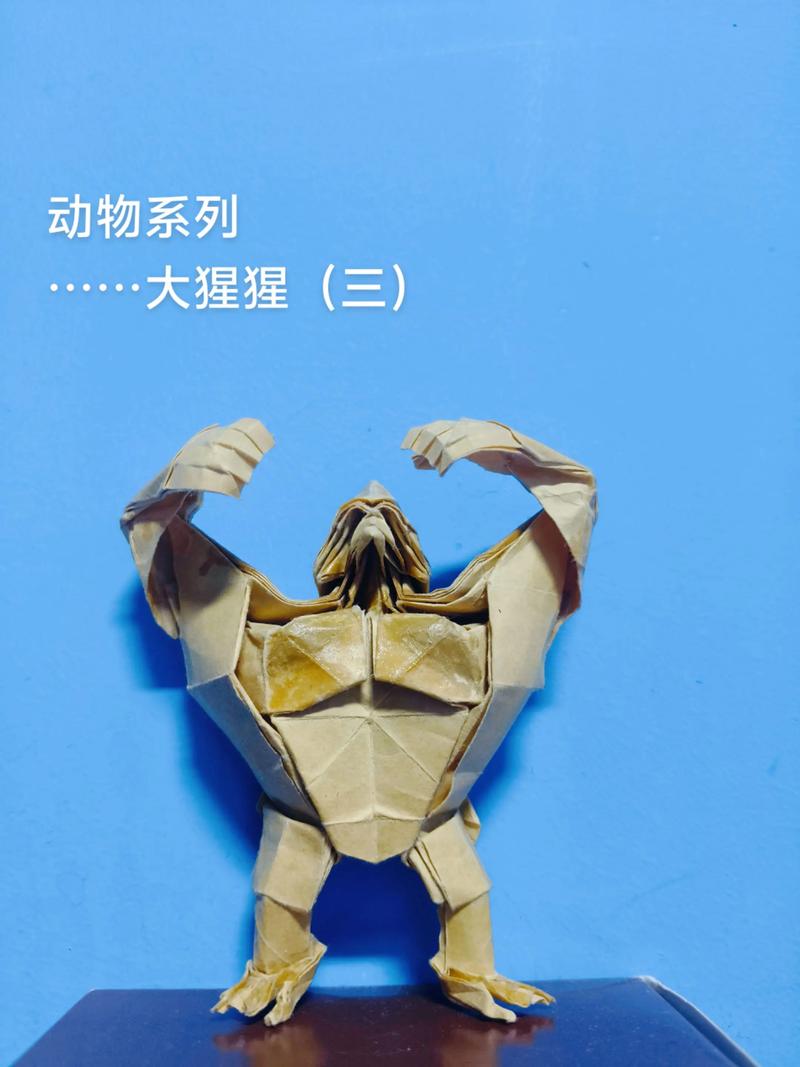 大学生制作动物短视频怎么做