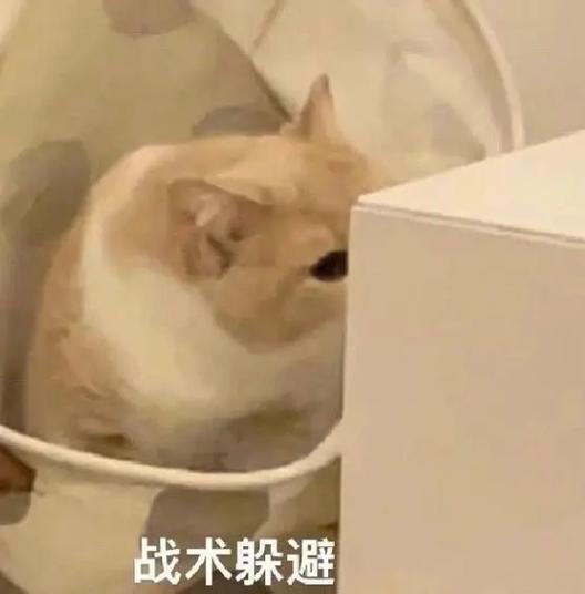 抖音短视频尬笑表情包怎么制作