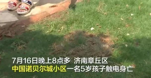 5岁男童在景观池触电身亡