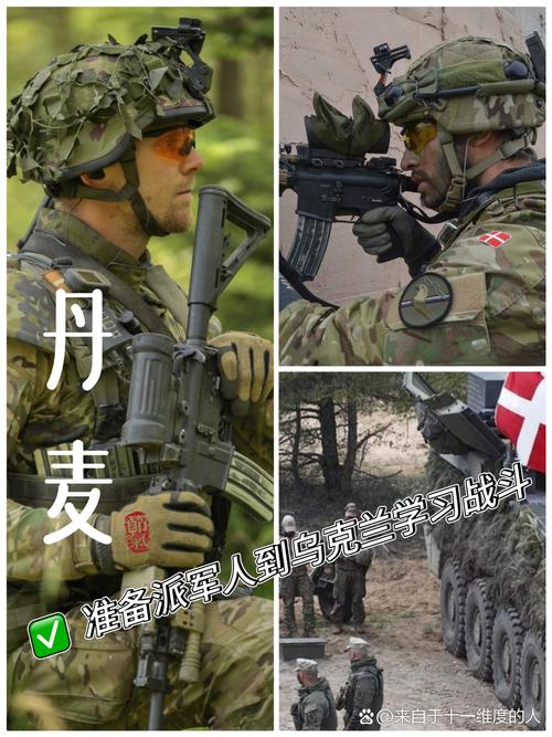 法德瑞向丹麦派遣军事人员协助安保