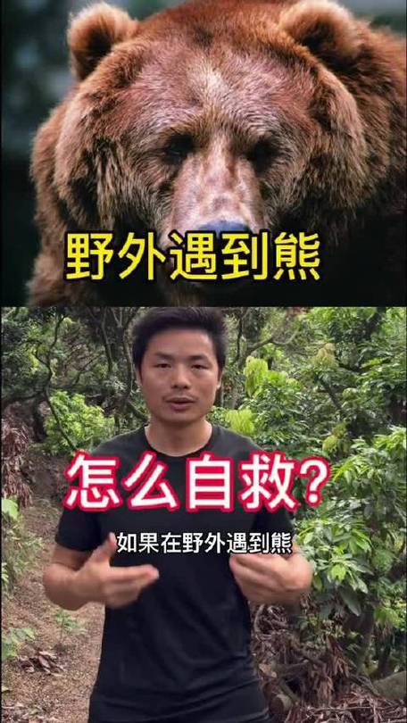 遭熊袭击孕妇发声：想尽全力保住孩子