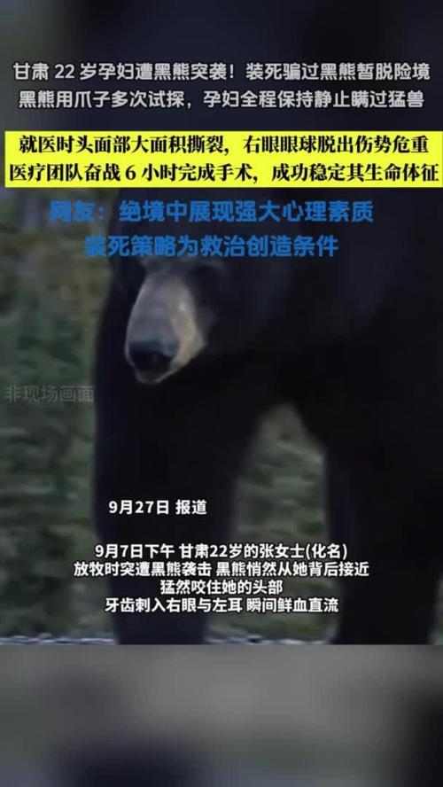 遭熊袭击孕妇发声：想尽全力保住孩子
