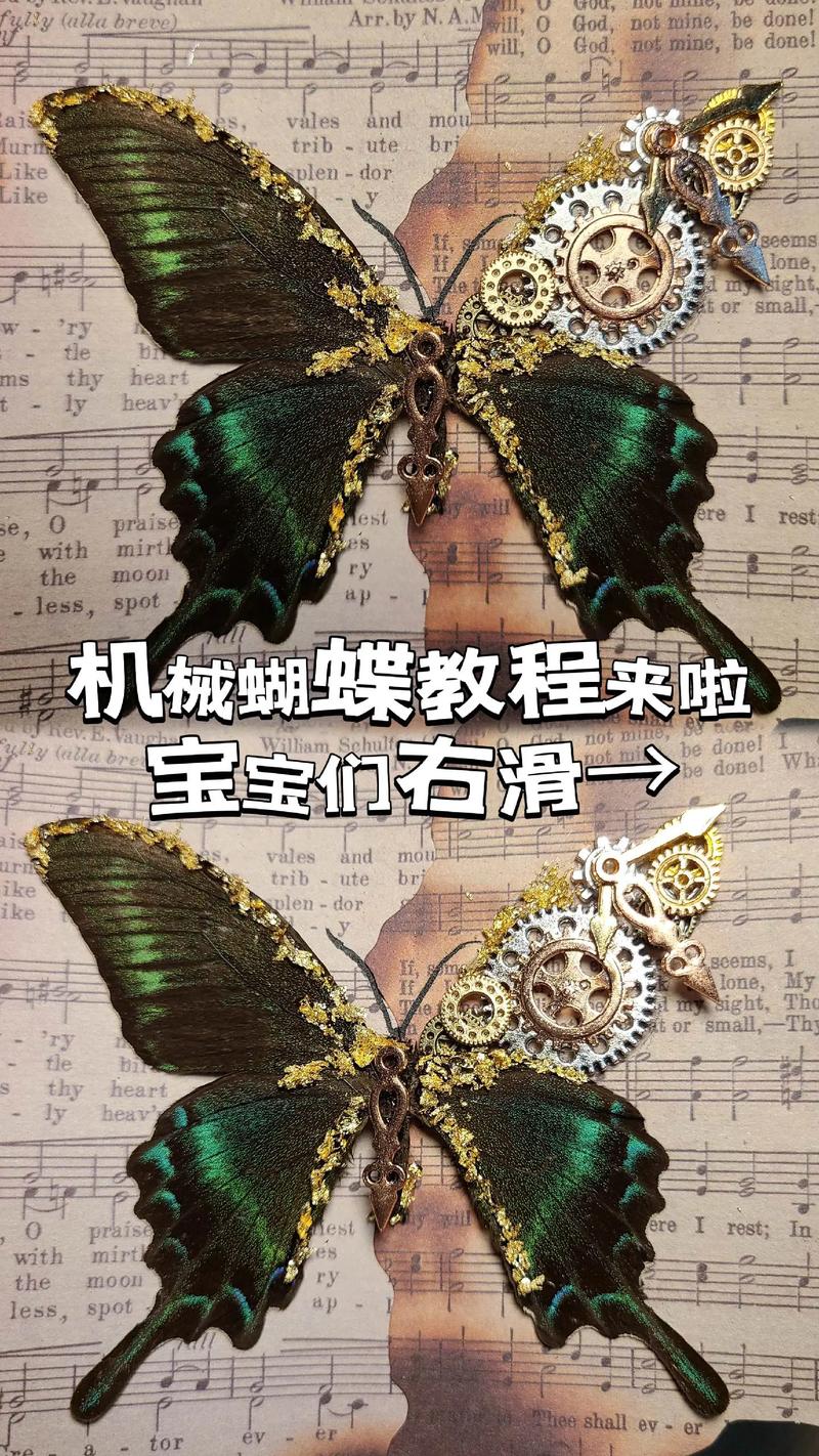 怎么制作ai蝴蝶模型