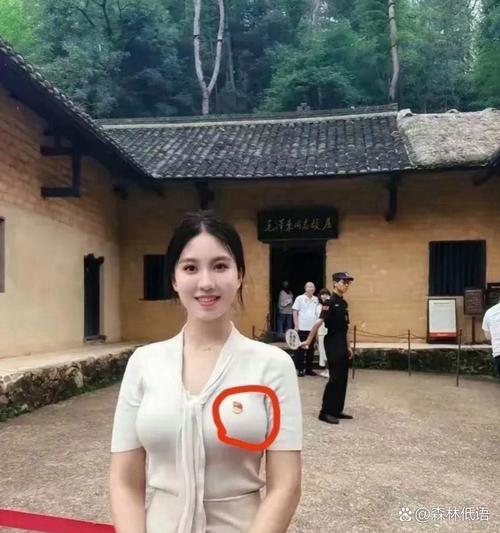 叶元之“女贵人”穿民进党背心被批